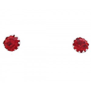 Ruby Jewelry Sterling Silver July Birthstone Post Earrings NX88590